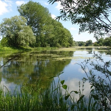 Flussarm Dunajský Klátov