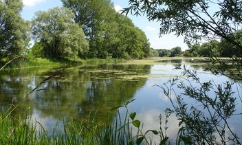 Flussarm Dunajský Klátov